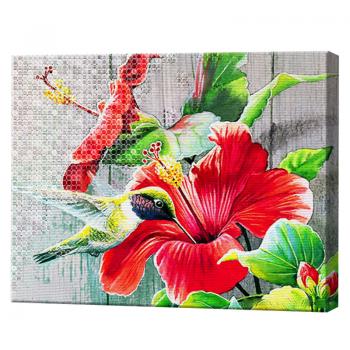 Картина за номерами + Алмазна мозаїка 2в1 Колібрі збирає нектар YHDGJ 75519 (30) 50х40см