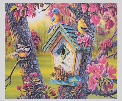 Картина за номерами + Алмазна мозаїка 2в1 (YGJ 72568) 50х40см