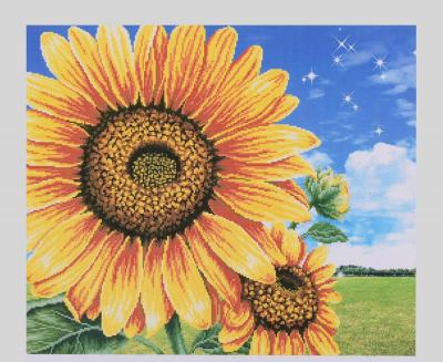 Картина за номерами + Алмазна мозаїка 2в1 YHDGJ 75100 (30) 50х40см