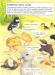 Дивовижний світ тварин. Хто вилупився з яйця?