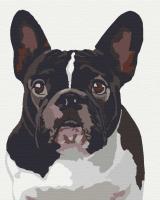 Картина для малювання за номерами Уінстон Riviera Blanca RB-0259 40*50