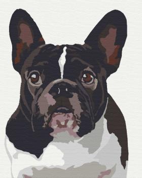 Картина для малювання за номерами Уінстон Riviera Blanca RB-0259 40*50