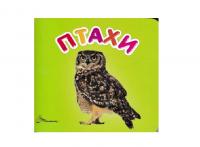 Книга Карамелька Птахи 100*100 мм Талант (52491)