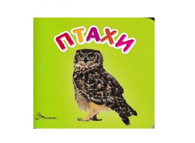 Книга Карамелька Птахи 100*100 мм Талант (52491)