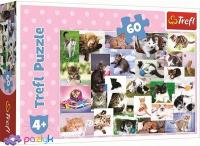 Пазл "Котячий світ" 60 елементів (17332)