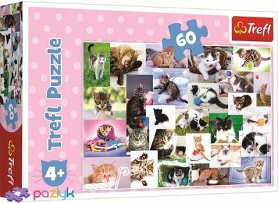 Пазл "Котячий світ" 60 елементів (17332)