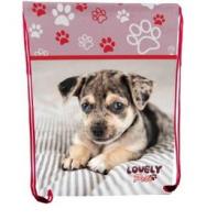 Сумка для взуття "Lovely Pets", 46*33 см, CLASS