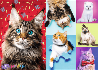 Пазли Колаж "Щасливі котики" Trefl 10591