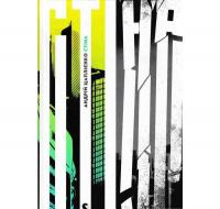 Стіна. Цаплієнко А.