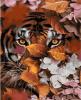 Набір для розпису по номерах VA-2750 "Осінній тигр", розміром 40х50 см																		