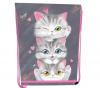 Сумка для взуття Class Kittens 46 х 33 см Сіра з рожевим