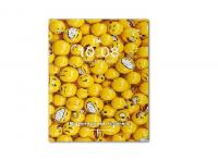 Щоденник шкільний Brisk Gold Смайлики А5 тверда поролонова обкладинка (37303)