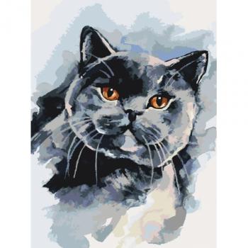 Картина по номерам - Домашній улюбленець 2 (КНО4035) 30*40