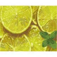 Набір для розпису по номерах ART CRAFT М'ятний цитрус 40*50 см (12014-AC)