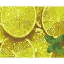 Набір для розпису по номерах ART CRAFT М'ятний цитрус 40*50 см (12014-AC)