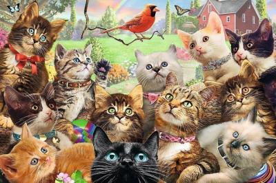 Пазли Trefl Котики, 260 елементів (13241)