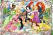 Пазли Trefl Зустріч Принцес. Disney Princess, 260 елементів (13242)