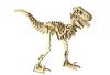 Дерев'яний 3D пазл Динозавр Велоцираптор
