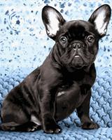 Картина за номерами "Чорний бульдог" Rainbow Art GX43272