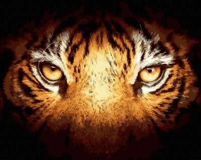 Картина за номерами "Погляд тигра" Rainbow Art GX39987