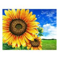 Алмазна мозаїка GB 75100  40х30см