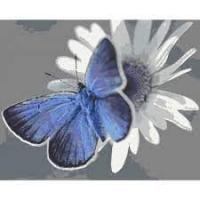 Набір для розпису "Лазурик" ТМ "RIVIERA BLANCA" RB-0107 40*50