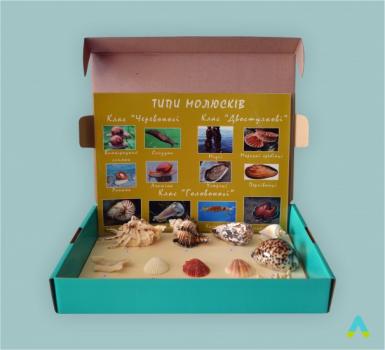 Колекція «Морське дно»