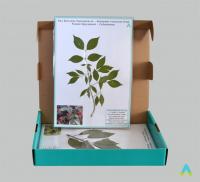 Гербарій "Отруйні рослини"