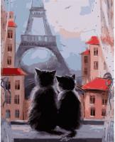 Набір для розпису по номерах VA-0902 "Пара котиків", розміром 40х50 см																		