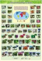 Жива природа землі. Рослини