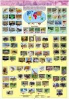 Жива природа землі. Тварини