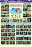 Жива природа землі. Гриби