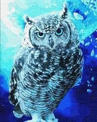 Набір для розпису по номерах.Тварини, птахи "Берегиня нічного сонця"  КНО4089 40*50см