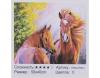 КАРТИНА ПО НОМЕРАМ + АЛМАЗНАЯ МОЗАЙКА 2В1 YHDGJ 70631  50Х40СМ.