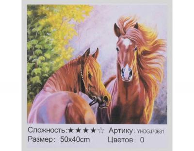 КАРТИНА ПО НОМЕРАМ + АЛМАЗНАЯ МОЗАЙКА 2В1 YHDGJ 70631  50Х40СМ.