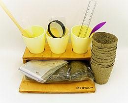 Набір лабораторний з природознавства (досліди з рослинами)