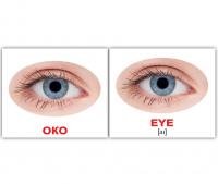 Картки Домана україно-англійські «Людина/Human»