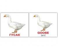 Картки Домана україно-англійські «Свійські тварини / Domestic animals»