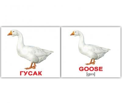 Картки Домана україно-англійські «Свійські тварини / Domestic animals»