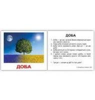 Картки Домана Час та сезони з фактами. 40 карток