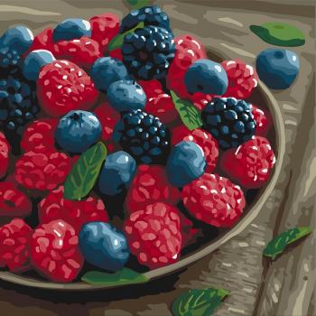 Картина по номерам - Дари літа (КНО5564) 