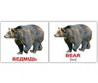 Картки Домана україно-англійські «Дикі тварини/Wild animals»