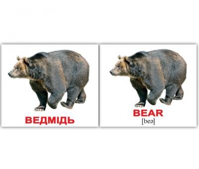 Картки Домана україно-англійські «Дикі тварини/Wild animals»