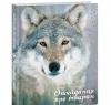 Оповідання про тварин (Апріорі) Сетон-Томпсон Е.