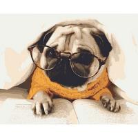 Картина для малювання за номерами Читати чи не читати  Riviera Blanca RB-0294