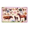 Рамка-вкладиш "Домашні тварини" Т 631