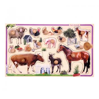 Рамка-вкладиш "Домашні тварини" Т 631