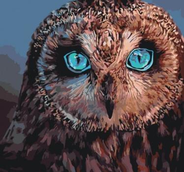 Картина по номерам - Таємнича совушка (КНО4056) 40*40