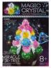 Набір для проведення дослідів 01-01 Magic Crystal Чудо-Ялинка
