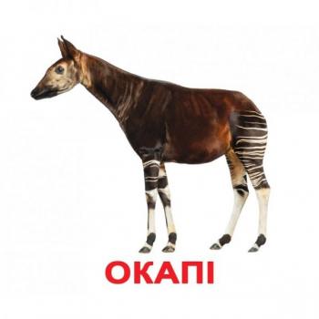 ЛАМІНОВАНІ КАРТКИ ДОМАНА “ЕКЗОТИЧНІ ТВАРИНИ” УКРАЇНСЬКОЮ